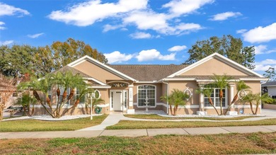 Lake Susan Home For Sale in Clermont Florida