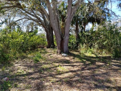 Lake Lot For Sale in New Port Richey, Florida