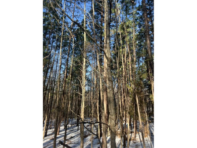 (private lake, pond, coastal) Lot For Sale in South Boston Virginia