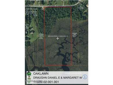 6+ Acres with Breathtaking Big Lake Views - Reduced Price! - photo 13