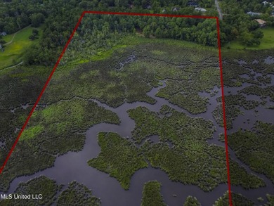 6+ Acres with Breathtaking Big Lake Views - Reduced Price! - photo 15