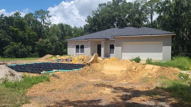Under Construction. Under Construction. New construction home - photo 15