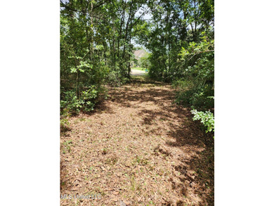 6+ Acres with Breathtaking Big Lake Views - Reduced Price! - photo 16