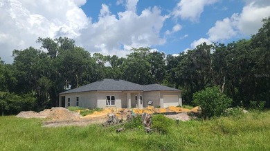 Under Construction. Under Construction. New construction home - photo 17