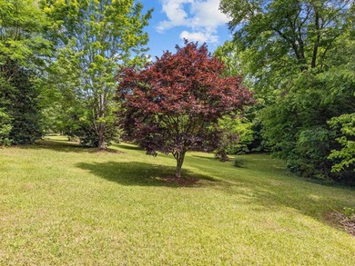 TTucked away on 6.38 peaceful acres in the heart of Campobello - photo 27