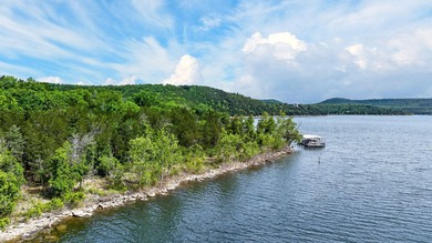 Located just minutes from the heart of Shell Knob yet offering - photo 33