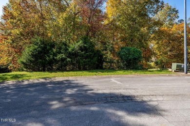 Lake Lot For Sale in Blountville, Tennessee