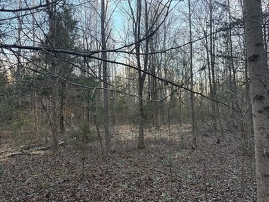 Opportunity awaits in Boydton, VA! This 8+ acre property, zoned - photo 3