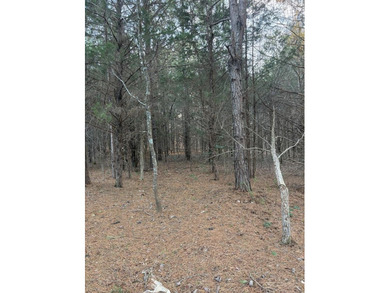 Opportunity awaits in Boydton, VA! This 8+ acre property, zoned - photo 5