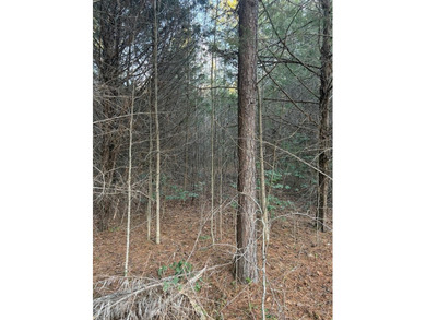 Opportunity awaits in Boydton, VA! This 8+ acre property, zoned - photo 6
