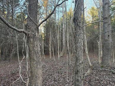 Opportunity awaits in Boydton, VA! This 8+ acre property, zoned - photo 7