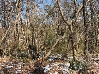 (private lake, pond, coastal) Lot For Sale in South Boston Virginia