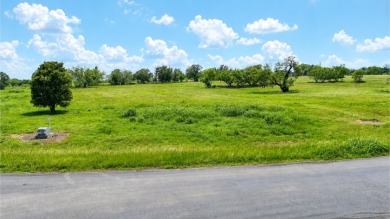 Spacious Off Water 1 Acre Lot at Richland Chambers Lake! - photo 20