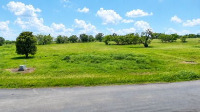 Spacious Off Water 1 Acre Lot at Richland Chambers Lake! - photo 21