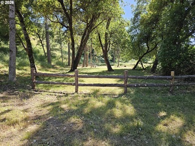 Welcome to one of Garden Valley's most distinctive riverfront - photo 33