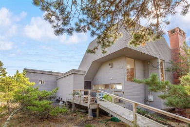 Set on 0.69 acres, bordering a two-acre dune preserve, this - photo 34