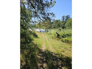 Welcome to one of Garden Valley's most distinctive riverfront - photo 34