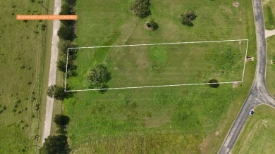 Spacious Off Water 1 Acre Lot at Richland Chambers Lake! - photo 33