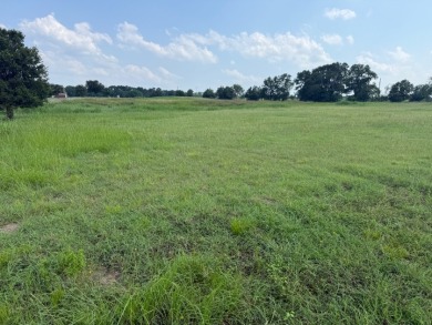 Spacious Off Water 1 Acre Lot at Richland Chambers Lake! - photo 37