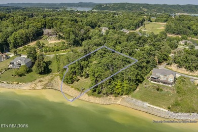 Experience the ultimate lakeside lifestyle on this stunning - photo 28