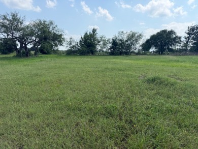 Spacious Off Water 1 Acre Lot at Richland Chambers Lake! - photo 27