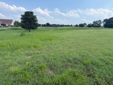 Spacious Off Water 1 Acre Lot at Richland Chambers Lake! - photo 34