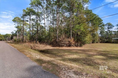 (private lake, pond, coastal) Lot For Sale in Coden Alabama