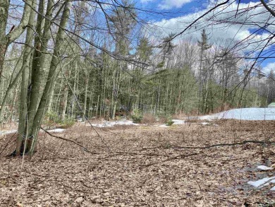Spofford Lake Acreage For Sale in Chesterfield New Hampshire