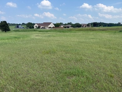 Spacious Off Water 1 Acre Lot at Richland Chambers Lake! - photo 13