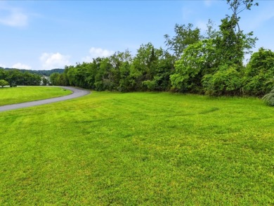 Cherokee Lake View Lot - photo 11