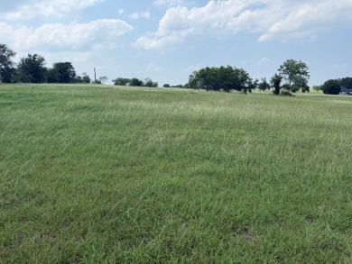 Spacious Off Water 1 Acre Lot at Richland Chambers Lake! - photo 23