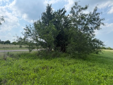 Spacious Off Water 1 Acre Lot at Richland Chambers Lake! - photo 18
