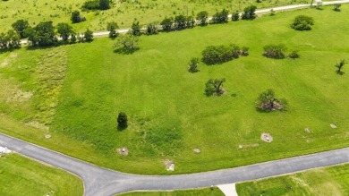 Spacious Off Water 1 Acre Lot at Richland Chambers Lake! - photo 36