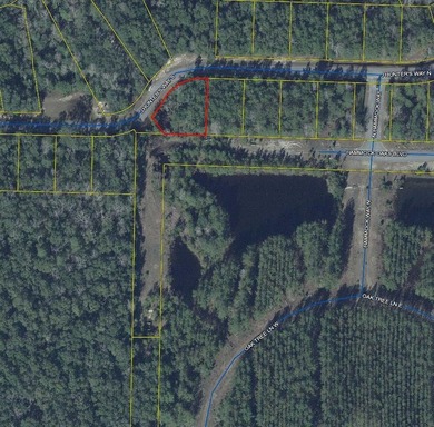 Magnolia Bay Estates is a gated, 79 lot subdivision that has 26 - photo 1