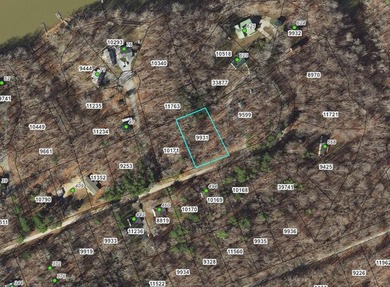 Kerr Lake - Buggs Island Lake Lot For Sale in Buffalo Junction Virginia