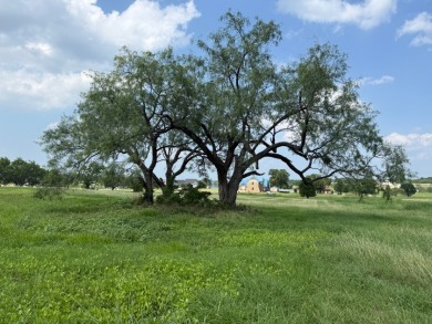 Spacious Off Water 1 Acre Lot at Richland Chambers Lake! - photo 3