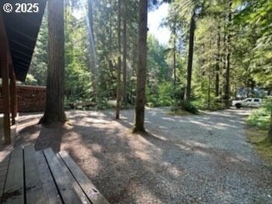 Wouldn't you love to have a cabin with a garage? Here it is! - photo 2