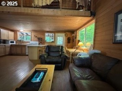 Wouldn't you love to have a cabin with a garage? Here it is! - photo 4