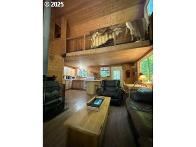 Wouldn't you love to have a cabin with a garage? Here it is! - photo 5