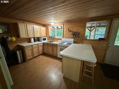 Wouldn't you love to have a cabin with a garage? Here it is! - photo 7