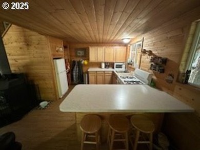 Wouldn't you love to have a cabin with a garage? Here it is! - photo 8