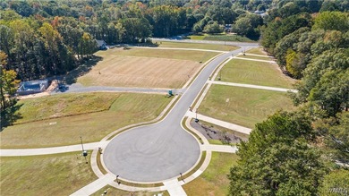This stunning 4-year-old custom home on Lake Tuscaloosa offers - photo 3
