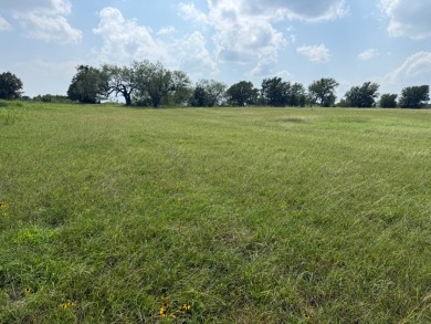 Spacious Off Water 1 Acre Lot at Richland Chambers Lake! - photo 32
