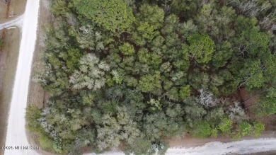 Lake Lot For Sale in Interlachen, Florida