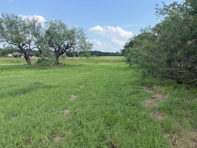 Spacious Off Water 1 Acre Lot at Richland Chambers Lake! - photo 16