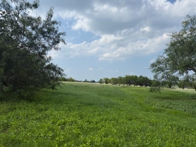 Spacious Off Water 1 Acre Lot at Richland Chambers Lake! - photo 5