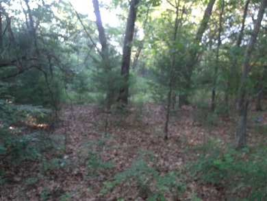 Buffalo Lake Area - Nicely wooded and secluded location off - photo 3
