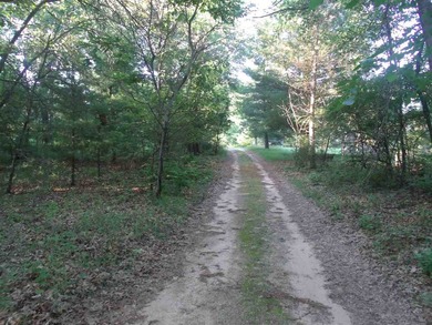 Buffalo Lake Area - Nicely wooded and secluded location off - photo 4