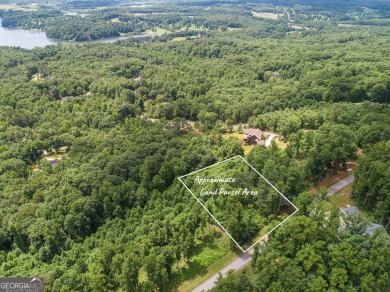 Lake Lot For Sale in Blairsville, Georgia