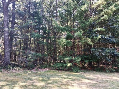 Houghton Lake Lot For Sale in Prudenville Michigan
